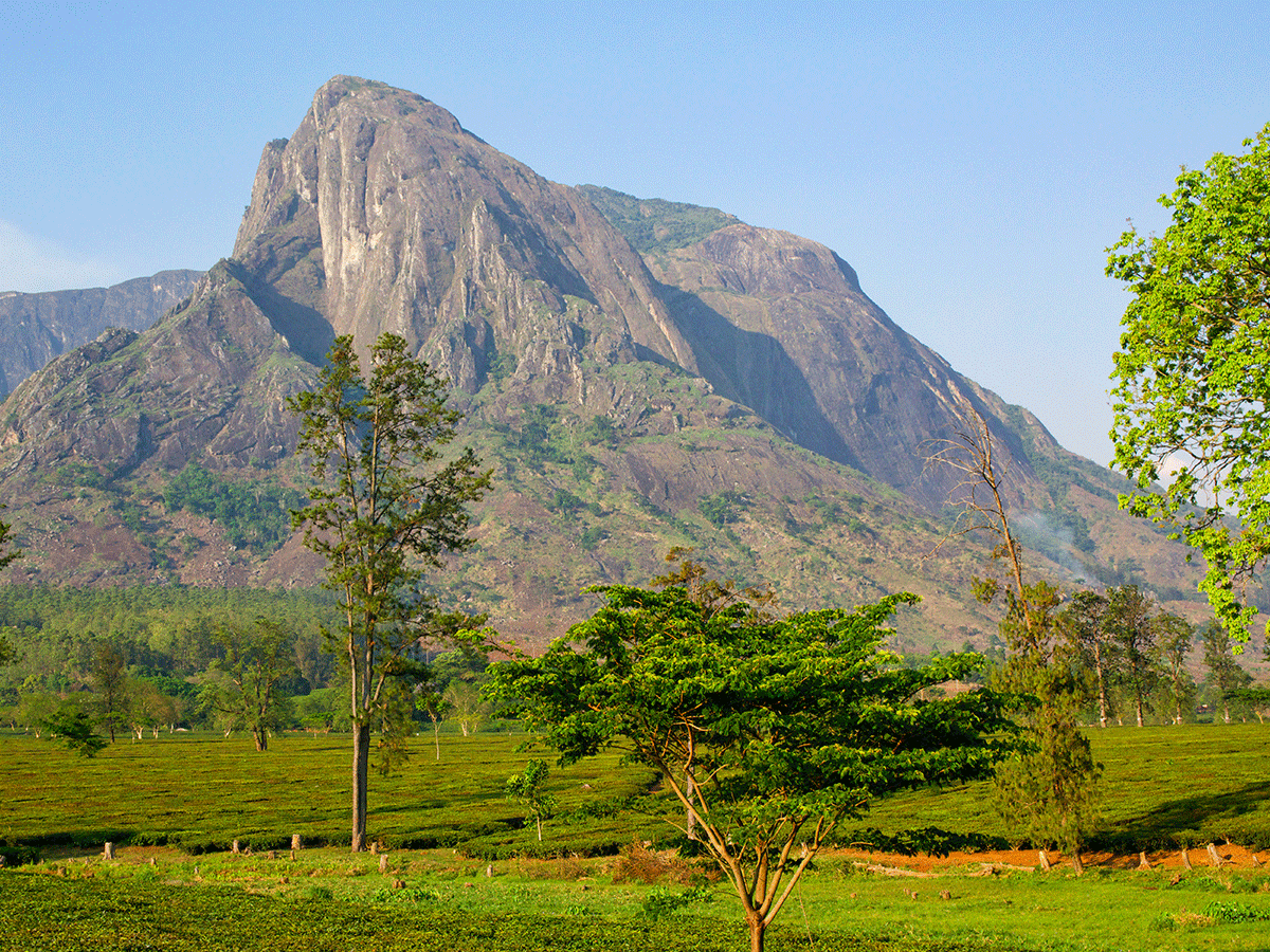 Enjoy the beauty of mountain mulanje